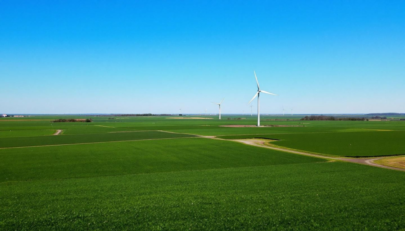 Impact environnemental des éoliennes : bénéfices et défis